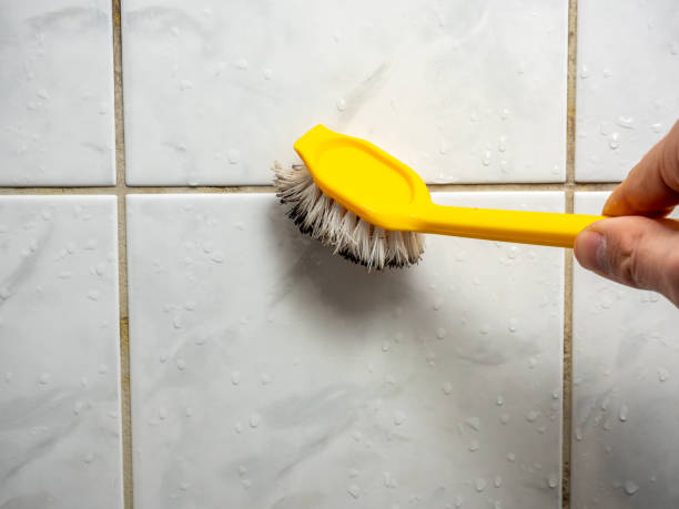 Best Bathroom Mold Remediation in Newton, MS